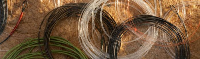 Fly Fishing Leader and Tippet: What, Why and How