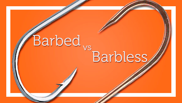 Barbed vs Barbless Hooks