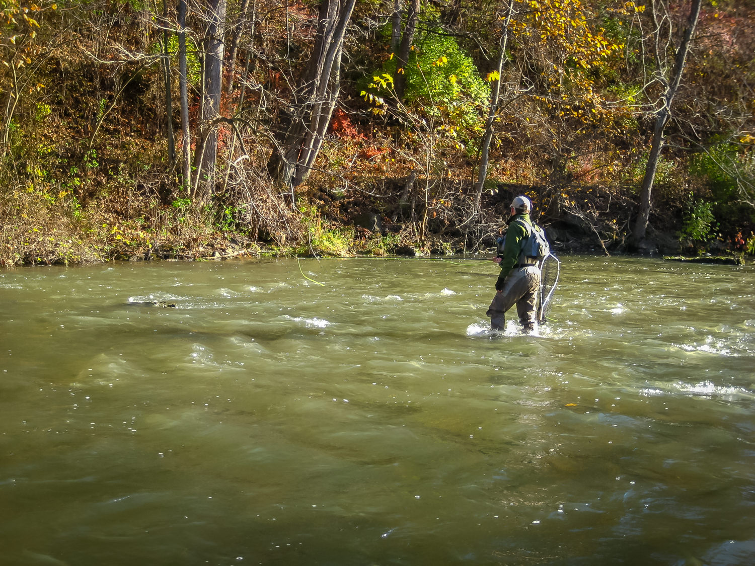 Wading Basics and Tips  The Fly Fishing Basics