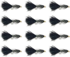 12pc Woolly Bugger Pack